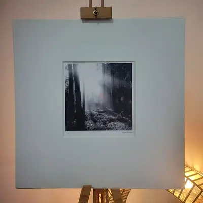 Framed Black and White Forest Photography