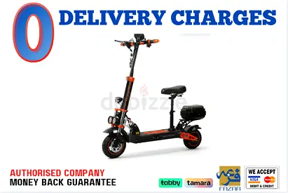 Kugoo Electric Scooter D Wish