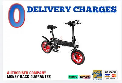Electric Bike Wind Horse Folding Electric Bike, C19 - 1 Year Warranty