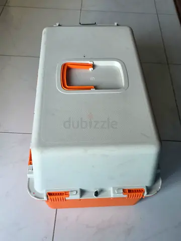 بوكس لحمل القطط