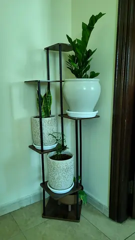 Plant with stand Indoor