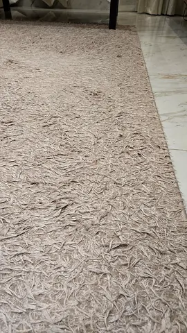 Elegant Beige Textured Area Rug