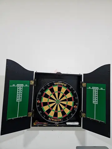 Darts board professional