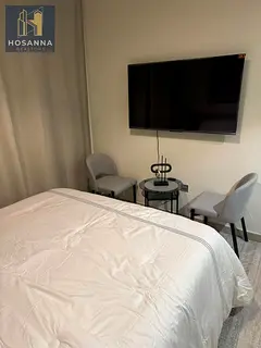 Spacious & Luxury Studio | Fully furnished I Balcony | open View