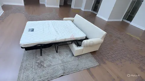 Crate and Barrel two seater sofa bed with mattress