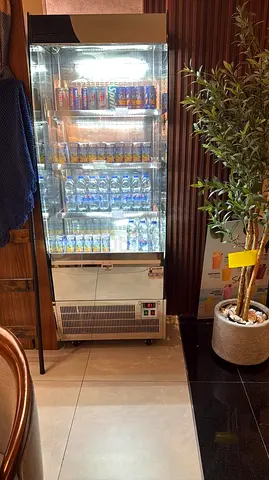 Standing Display Refrigerator