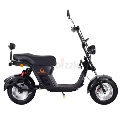 Kugoo Super Electric Scooter