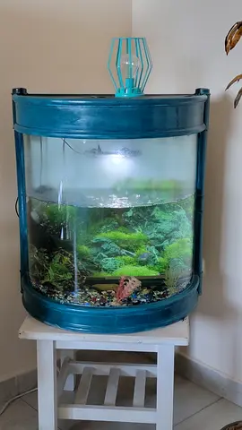 Vintage Round Fish Tank with Lamp