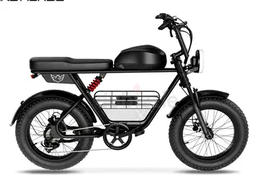Electric Bike Wind Horse D5 Brand New 1 Year Warranty