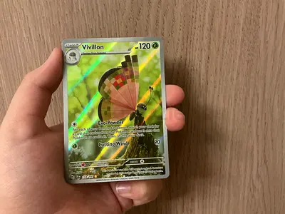 Vivillion IR 193/191