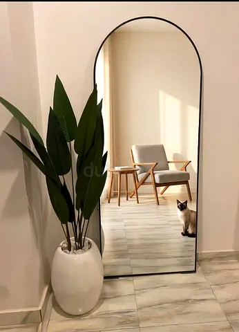 Arched full-length black-framed mirror