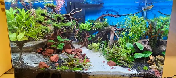 Stunning Fully Equipped Aquarium for Sale