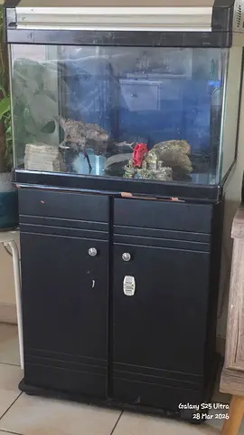 Fish Tank with Stand