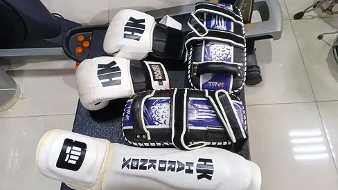 Boxing Gloves and Pads Set