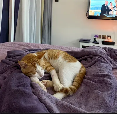 Meet Eros – A Brave Soul Ready for His Forever Home