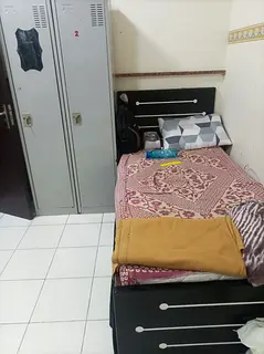 Partition for Single Ladies in France Cluster International City