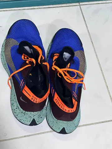 Nike Pegasus GTX Running Shoes