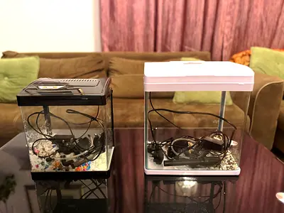 Aquarium for Urgent Sale