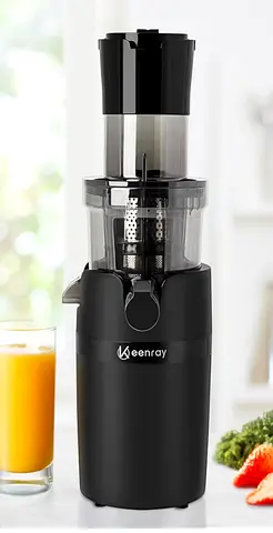 Keenray juicer