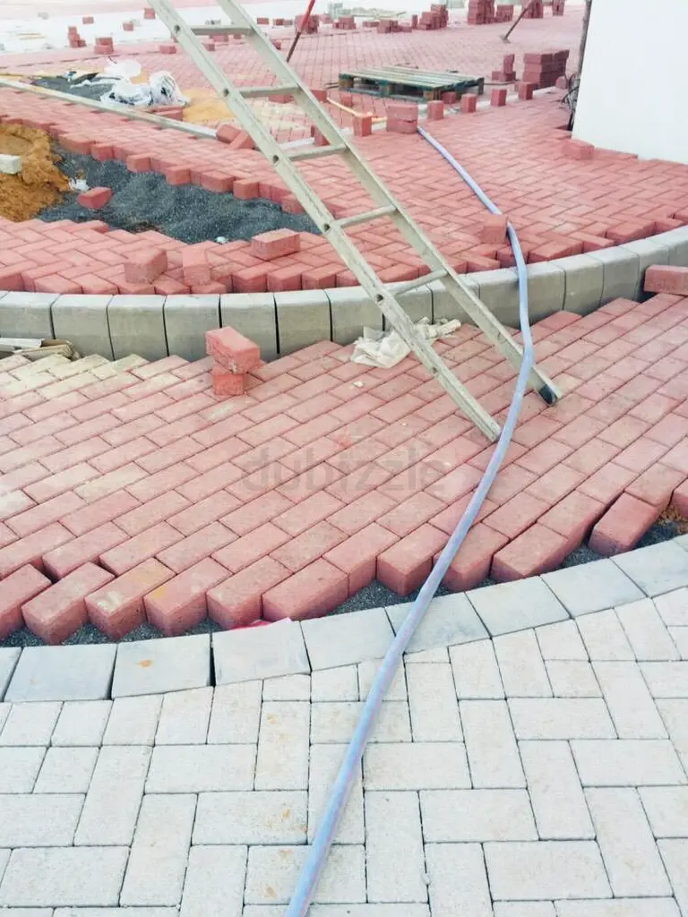 DPV_View_Image_2