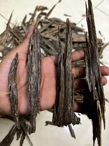 Rare Bisa Muri Wood Fragrance Pieces