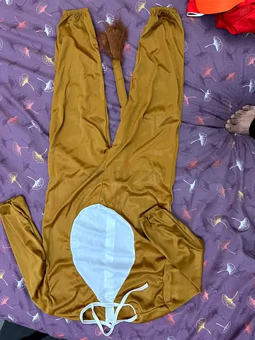 Childrens Animal Costume- LION