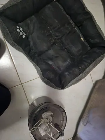 grey pet bed with small automatic cat water fountain