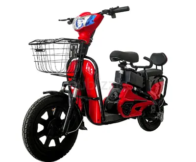 Wind Horse M1 Electric Bike, M1 - 1 Year Warranty