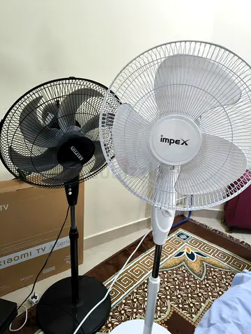 Fan