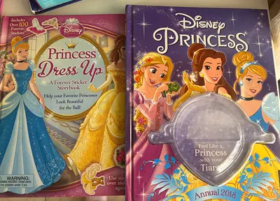 Disney Princess sticker dress-up book + Annual 2018 — gently used set