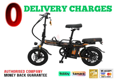 Electric Scooter Kugoo T29