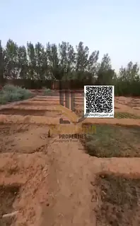 🏡 Farm for Sale | Kabr Area – Umm Al Quwain 🌴