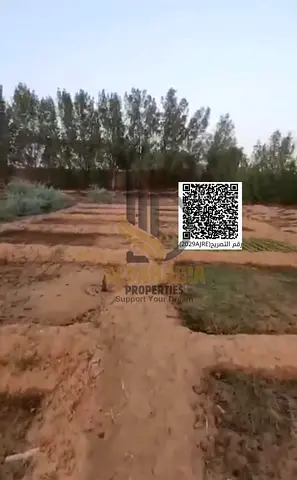 🏡 Farm for Sale | Kabr Area – Umm Al Quwain 🌴