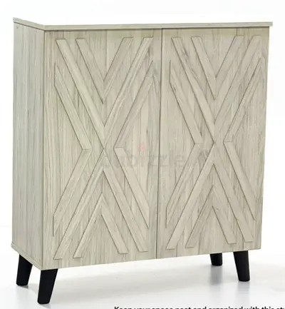 Stylish Two-Door Cabinet with Geometric Design