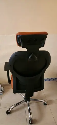 Ergonomic Office Chair with Adjustable Features