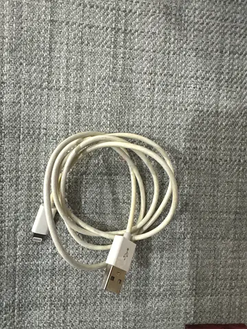 Apple Lightning to USB A Cable
