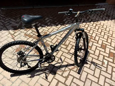 Trek mountain bike