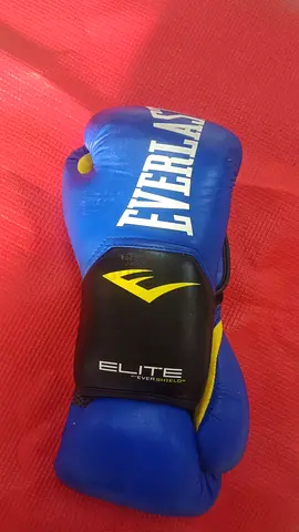 Everlast Boxing Gloves