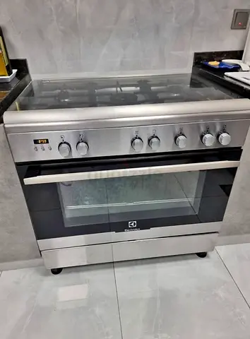 Electrolux Gas Range with Oven electric