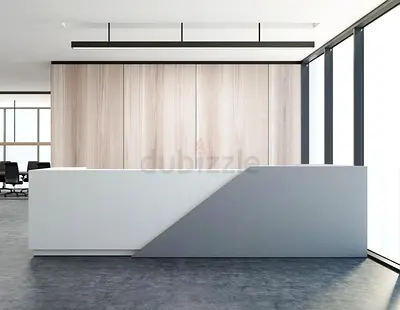 Minimalist Modern Reception Interior