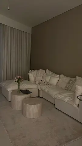 Sofa with table and carpet
