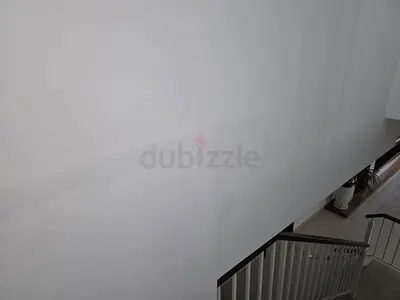 Home paint services