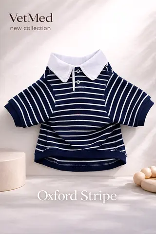 Oxford Stripe Shirt