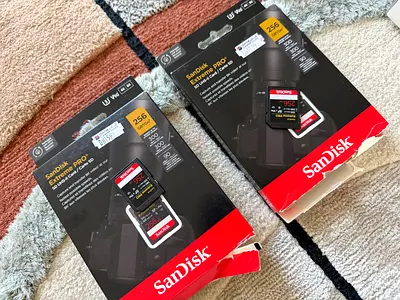 Two SanDisk Extreme Pro 256GB SD Cards