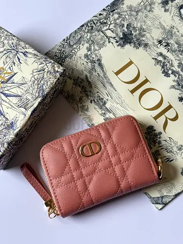 Dior Mini Wallet in Pink