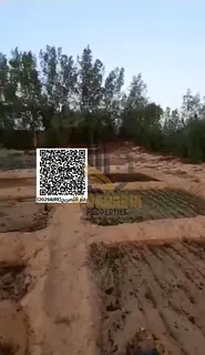 🏡 Farm for Sale | Kabr Area – Umm Al Quwain 🌴