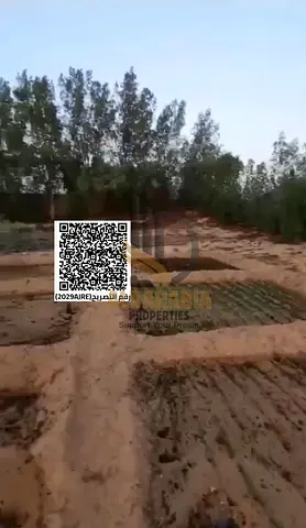 🏡 Farm for Sale | Kabr Area – Umm Al Quwain 🌴