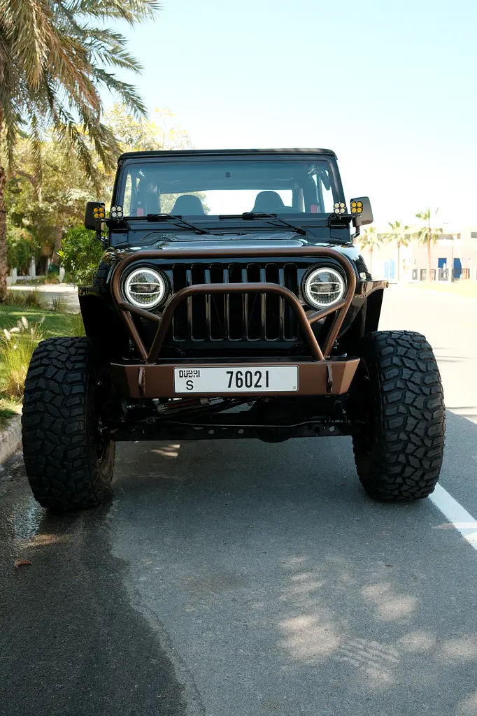 Jeep Wrangler 2003 — photo 1 of 20