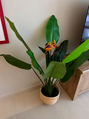 Indoor Potted Fake Plant with Decorative Pot