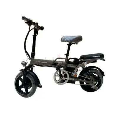 Winner Sky K11 Electric Bike